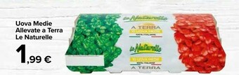 Carrefour Market Le Naturelle Uova offerta