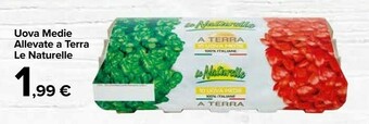Carrefour Market Le Naturelle Uova Medie Allevate A Terra offerta