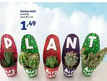 In'S Mercato Cactus Mini offerta