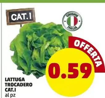 PENNY Lattuga Trocadero offerta