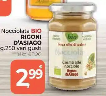 Supermercati Dok Nocciolata BIO RIGONI D'ASIAGO g.250 vari gusti offerta