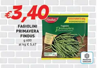 FAGIOLINI PRIMAVERA FINDUS g 600