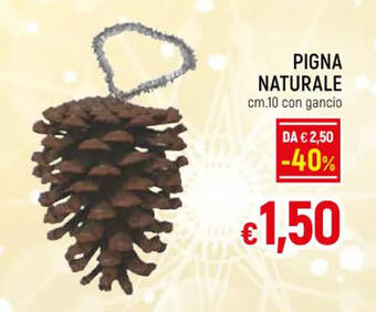 Galassia PIGNA NATURALE cm. 10 offerta