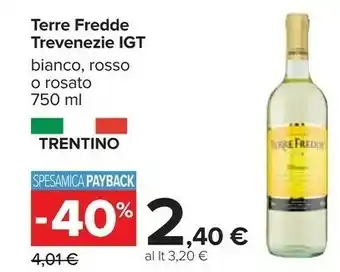 Carrefour Trevenezie Terre Fredde Bianco offerta