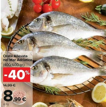 Carrefour Orata Allevata Nel Mar Adriatico offerta