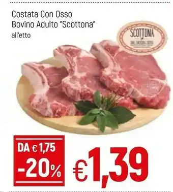 Famila Costata Con Osso Bovino Adulto offerta