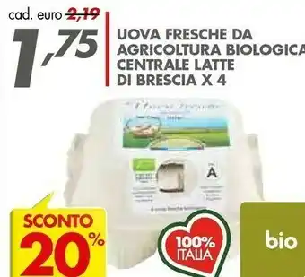 Italmark Uova Fresche Da Agricoltura Bio offerta