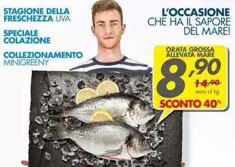 Italmark Orata Grossa Allevata Mare offerta