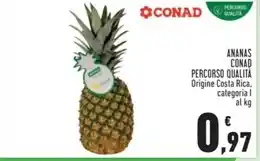 Conad Ananas offerta