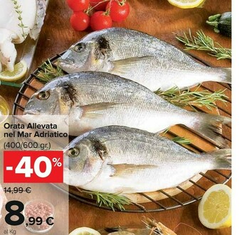 Carrefour Orata offerta