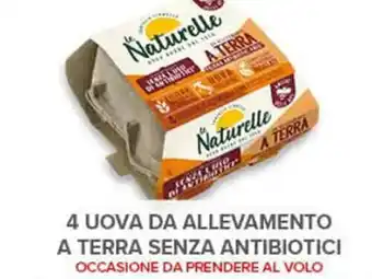 Todis 4 UOVA DA ALLEVAMENTO A TERRA SENZA ANTIBIOTICI offerta