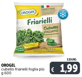 Deco Supermercati OROGEL cubello friarielli foglia più g 600 offerta