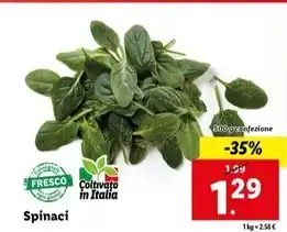 Lidl Spinaci offerta