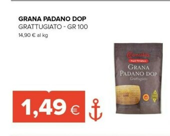 Consilia Grana Padano Dop Grattugiato Gr 100