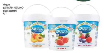 Galassia Yogurt LATTERIA MERANO gusti assortiti kg 1 offerta