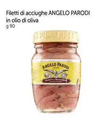 Galassia Filetti di acciughe ANGELO PARODI in olio di oliva g 90 offerta