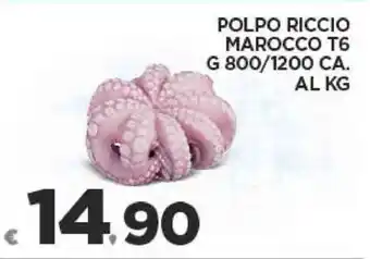 Deco Supermercati POLPO RICCIO MAROCCO T6 G 800/1200 CA. offerta
