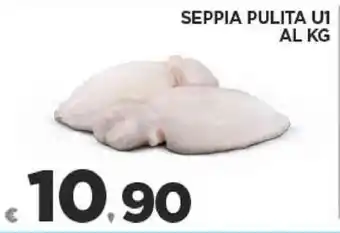 Deco Supermercati SEPPIA PULITA U1 offerta