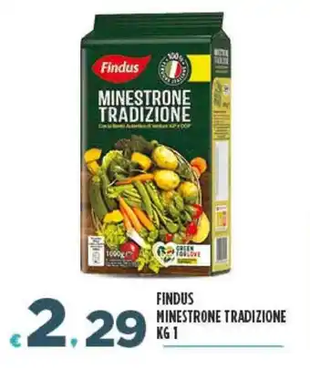 FINDUS MINESTRONE TRADIZIONE KG 1