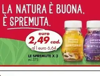 Italmark Natura buona Le Spremute Mirtilli offerta