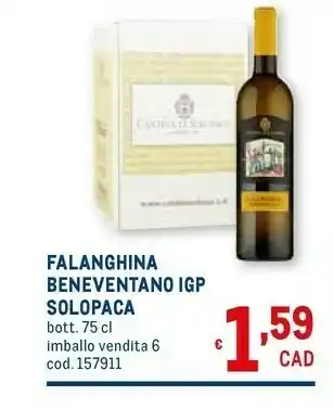 Metro Solopaca Falanghina Beneventano IGP 750 Ml offerta