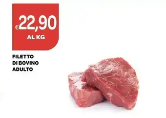 Ekom Filetto Di Bovino Adulto offerta