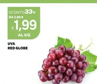 Ekom Uva Red Globe offerta