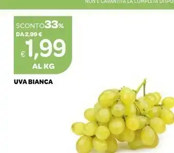 Ekom Uva Bianca offerta