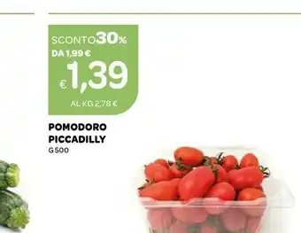 Ekom Pomodoro Piccadilly offerta