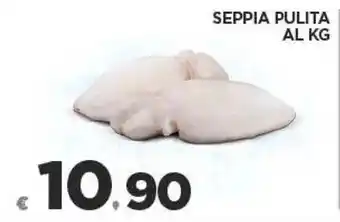 Deco Superfreddo SEPPIA PULITA offerta