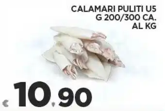 Deco Superfreddo CALAMARI PULITI US G 200/300 CA. offerta