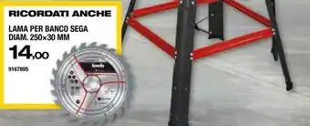 Sega circolare
