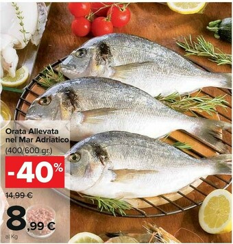 Carrefour Orata offerta