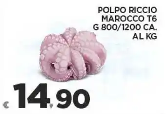 Deco Superfreddo POLPO RICCIO MAROCCO T6 G 800/1200 CA. offerta