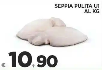Deco Superfreddo SEPPIA PULITA U1 offerta