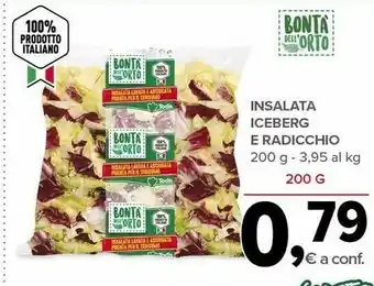 Todis Bonta Dell Orto Insalata Iceberg E Radicchio offerta