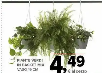 Todis Piante Verdi In Basket Mix offerta