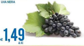 MD Discount Uva Nera offerta