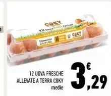 Conad Superstore Coky 12 uova fresche allevate a terra offerta