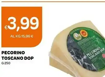 Ekom Pecorino offerta