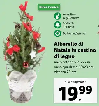 Lidl Alberello di Natale in cestino di legno offerta