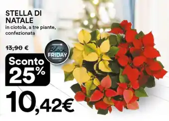 Ipercoop STELLA DI NATALE offerta