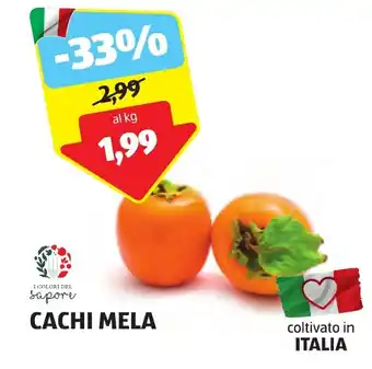 ALDI CACHI MELA offerta