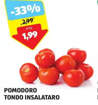 ALDI POMODORO TONDO INSALATARO offerta