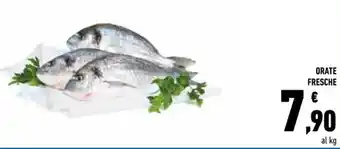 Conad ORATE FRESCHE offerta