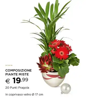 COMPOSIZIONE PIANTE MISTE