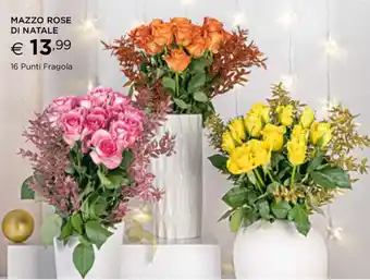MAZZO ROSE DI NATALE
