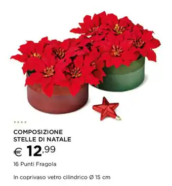 Esselunga COMPOSIZIONE STELLE DI NATALE offerta