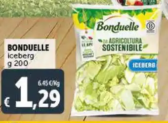 Deco Supermercati BONDUELLE iceberg g 200 offerta