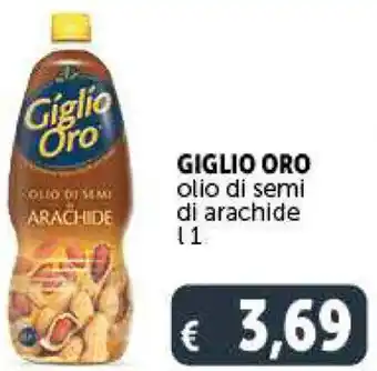 Deco Supermercati GIGLIO ORO olio di semi di arachide l 1 offerta